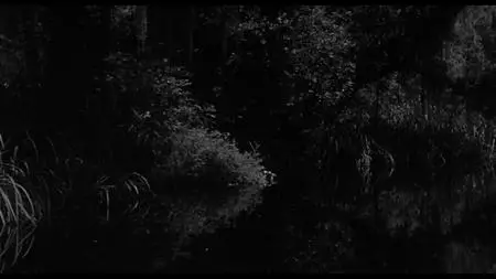 The Creature Walks Among Us (1956)