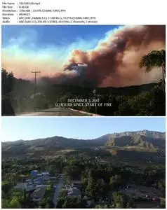 Burning Ojai: Our Fire Story (2020)