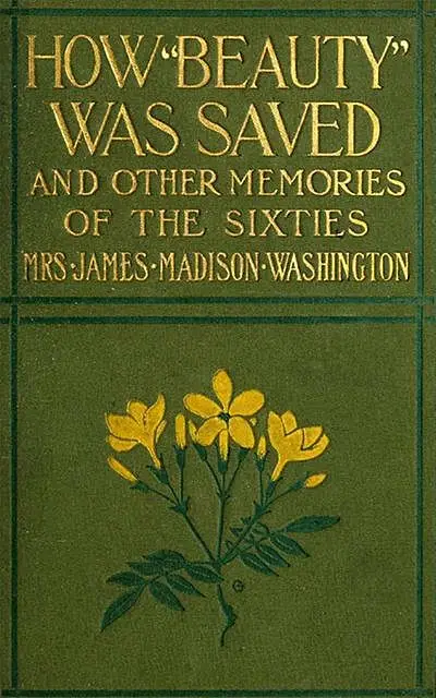 «How Beauty Was Saved and Other Memories of the Sixties» by Amanda Alcenia Strickland Washington