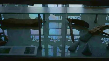 BBC - A Timewatch Guide: Cleopatra (2015)