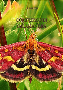 Complesso di Salamandra - J.L. Barzon