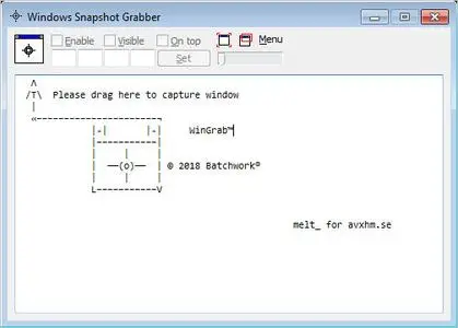 Windows Snapshot Grabber 2019.11.530.2694