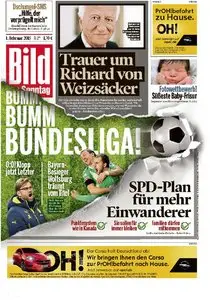 Bild am Sonntag, 01. Februar 2015