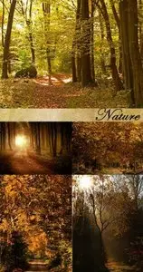 Stock Photos: Nature