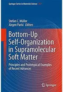 Bottom-Up Self-Organization in Supramolecular Soft Matter: Principles and Prototypical Examples of Recent Advances