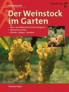 Der Weinstock im Garten (Repost)