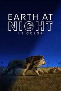 Earth at Night in Color S01E02