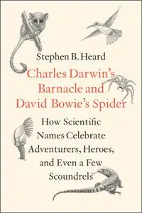 Charles Darwin's Barnacle and David Bowie's Spider