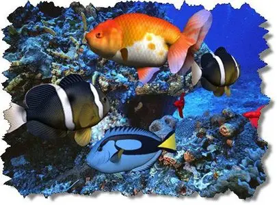 3D Aquatic Life Screensaver : Fish! v1.0 (Bundle Edition)