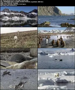 Frozen Planet S01E03