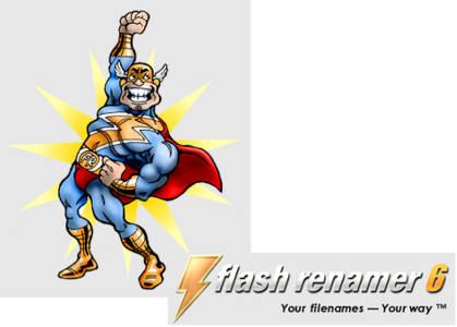 RL Vision Flash Renamer v6.5