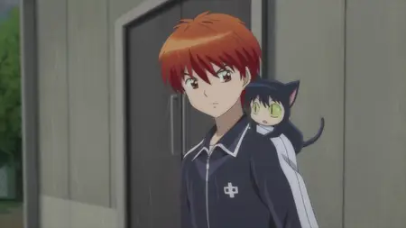 Kyoukai no Rinne - 29