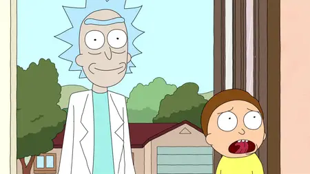 Rick and Morty S01E11