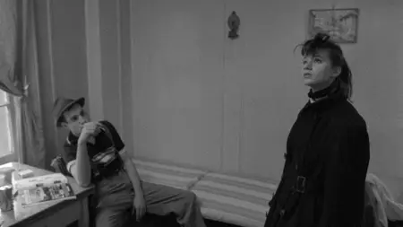 Stranger Than Paradise (1984)