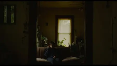 The Human Hibernation (2024)