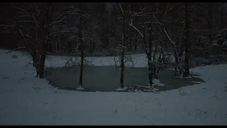 The Human Hibernation (2024)