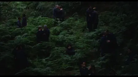 The Human Hibernation (2024)
