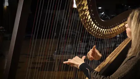 VSL Synchron Prime Harp v1.1 for Synchron Player