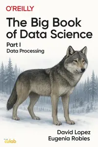 The Big Book of Data Science. Part I: Data Processing