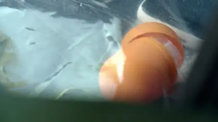 Police Interceptors S13E03