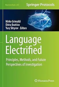 Language Electrified: Principles, Methods, and Future Perspectives of Investigation