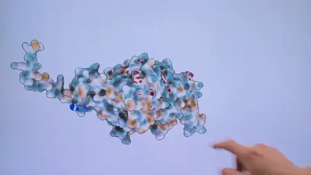 BBC Horizon - Disease X: Hunting the Next Pandemic (2025)