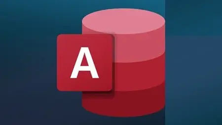 Microsoft Access zero/avanzato con 4 software modificabili