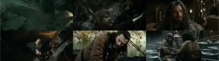 The Hobbit: The Desolation of Smaug (2013)