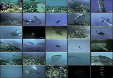 OceanWorld (2009)