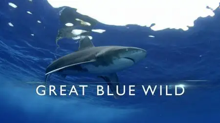 Great Blue Wild Season 3 (2020)