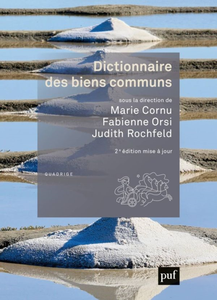 Judith Rochfeld, Marie Cornu, Fabienne Orsi, "Dictionnaire des biens communs"