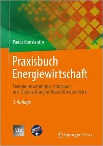 Praxisbuch Energiewirtschaft: Energieumwandlung, -transport und -beschaffung im liberalisierten Markt (repost)