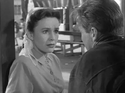 Chicago Calling (1951)