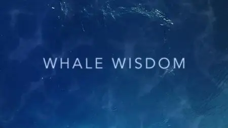 Whale Wisdom (2019)