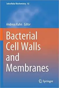 Bacterial Cell Walls and Membranes (Repost)