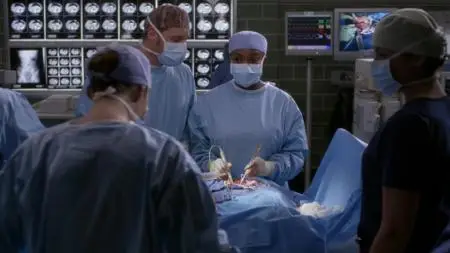 Grey's Anatomy S13E14