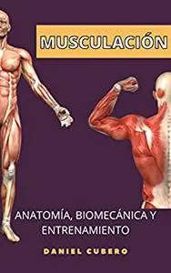 Musculación. Anatomía y entrenamiento.: Conocimientos para un cuerpo superior. (Spanish Edition)