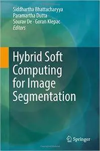 Hybrid Soft Computing for Image Segmentation