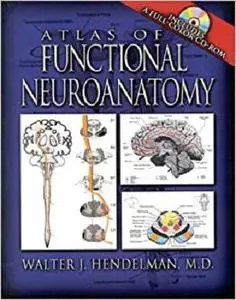 Atlas of Functional Neuroanatomy [Repost]