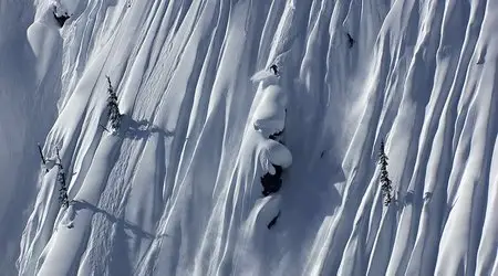 The Art of Flight (2011)