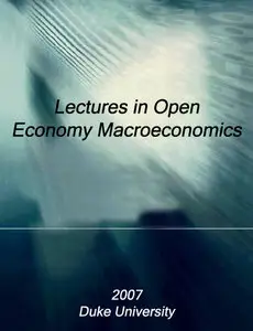 Lectures in Open Economy Macroeconomics (Repost)