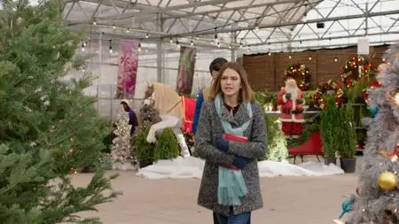 Once Upon a Christmas Miracle (2018)