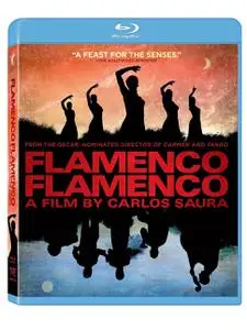 Flamenco, Flamenco (2010)