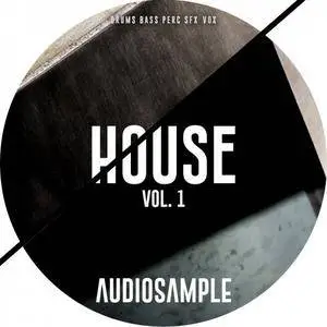 Audiosample House Vol 1 WAV MiDi