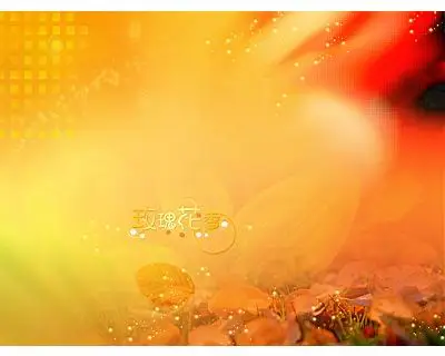 Templates Of Wedding Pictures Parts 011-015