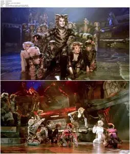 Cats (1998)