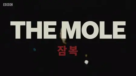 BBC - The Mole: Infiltrating North Korea (2020)