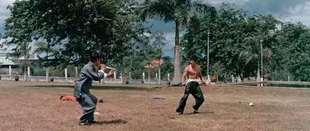 The Big Boss / Tang Shan Da Xiong (1971)