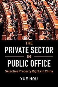 The Private Sector in Public Office