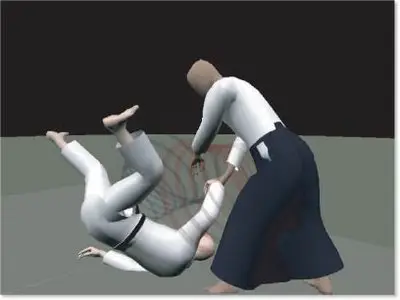 Aikido 3D